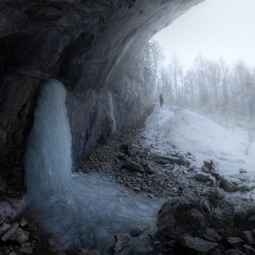 Photo #13047814
