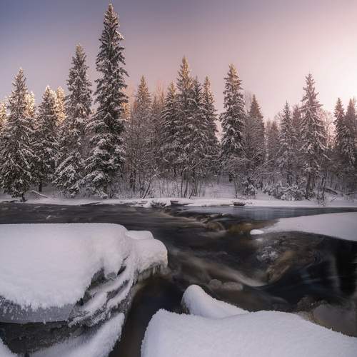 Photo #13047816