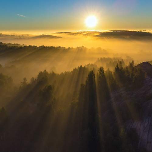 Photo #13047844