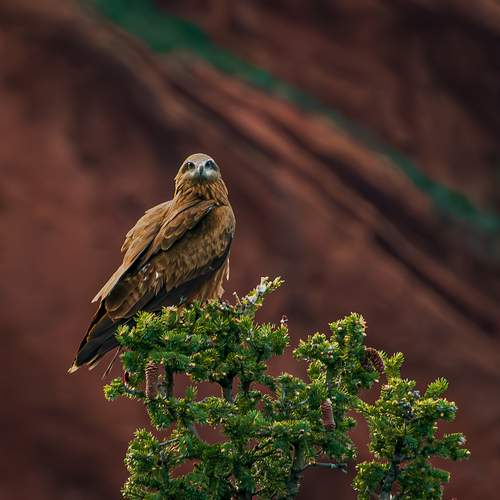Photo #13047889