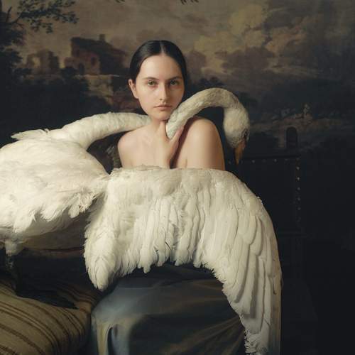 Соня и Лебедь