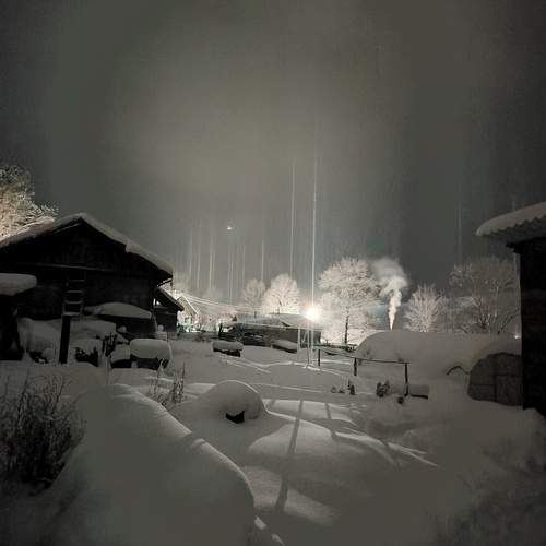 Photo #13047990