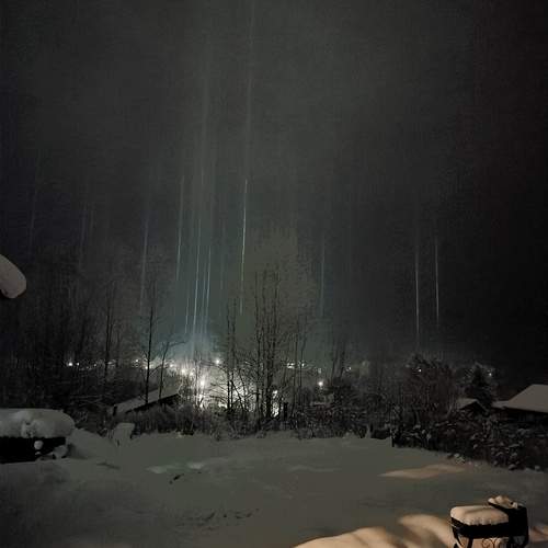 Photo #13047991