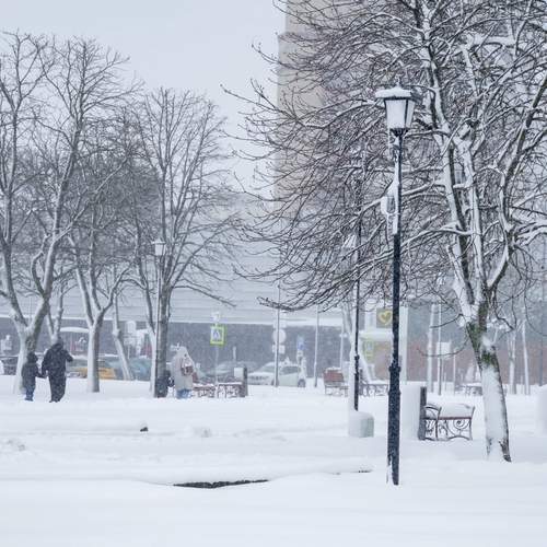 Фотография #13048073