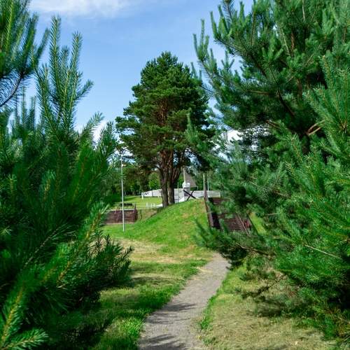 Фотография #13048076