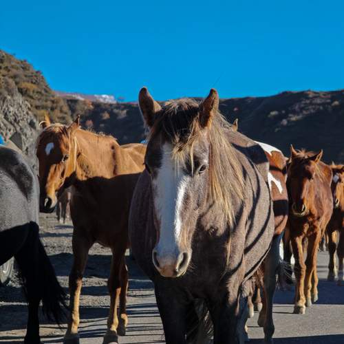 Photo #13048162