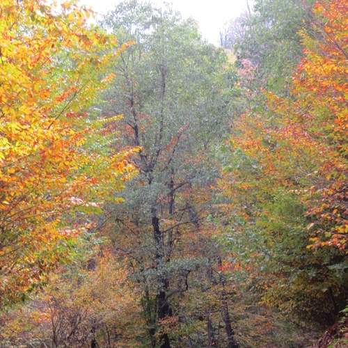Photo #13048302
