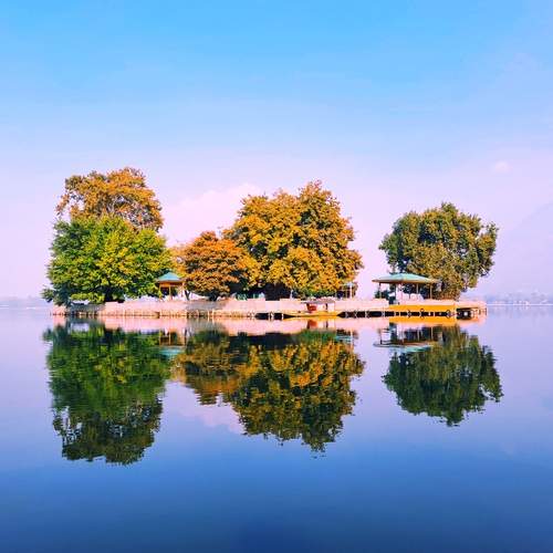Photo #13048496