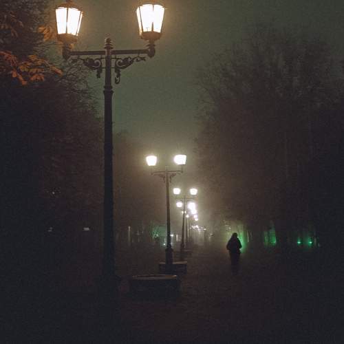 Photo #13048656