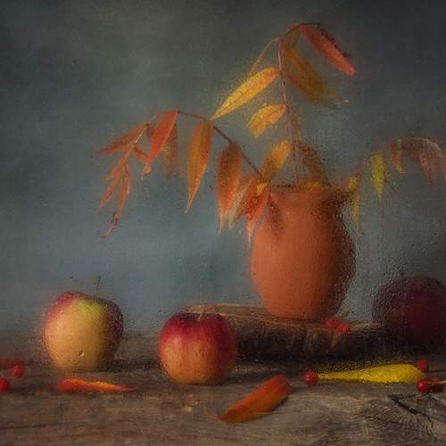 Photo #13048674