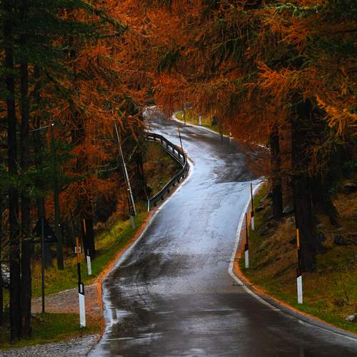 Photo #13048749