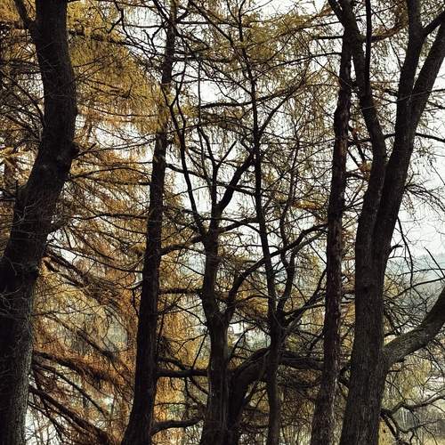 Фотография #13048778