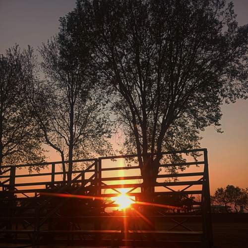 Photo #13048813
