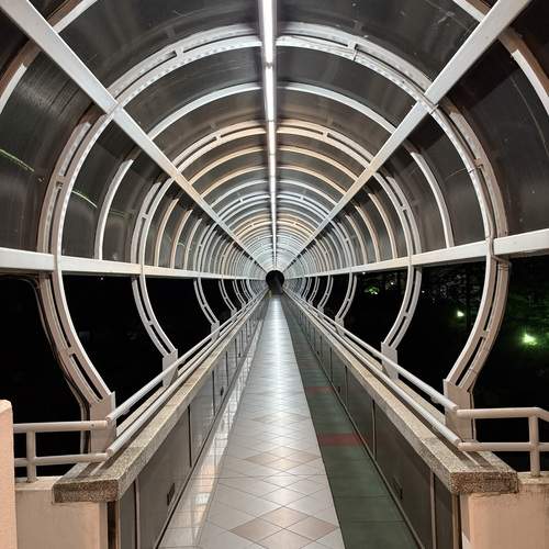 Photo #13048823