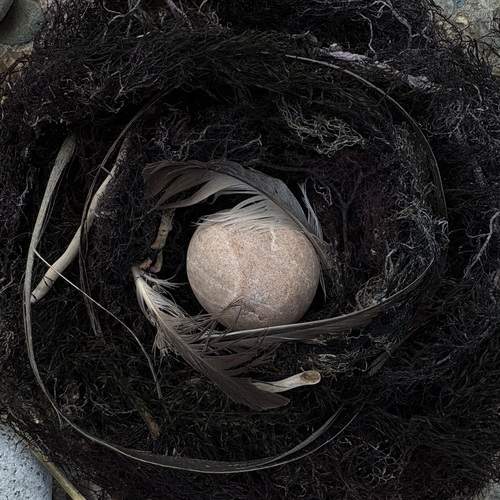 Photo #13048826