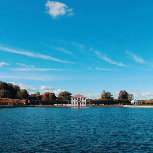 Photo #13048929