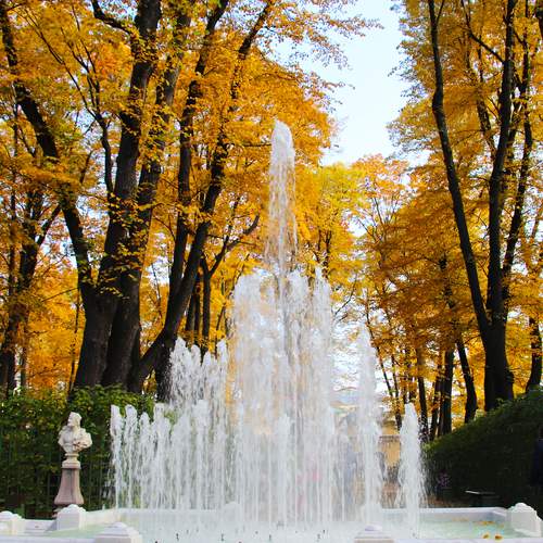 Photo #13048998