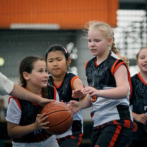 Photo #13049060