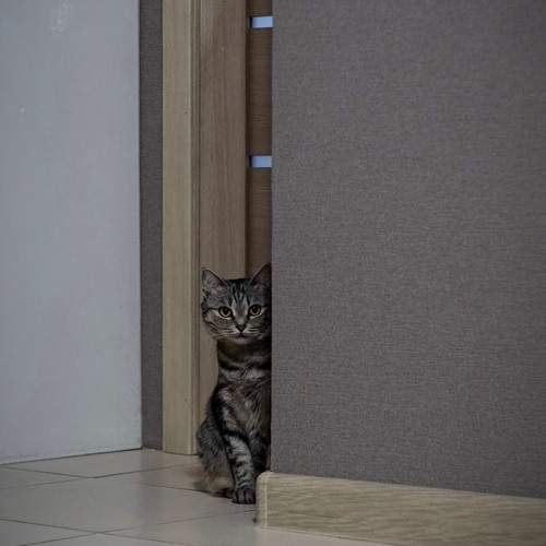 Photo #13049097