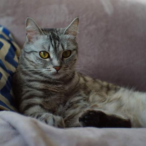 Photo #13049108