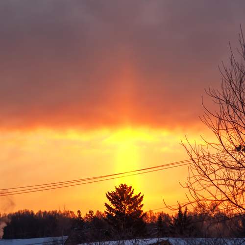 Photo #13049118