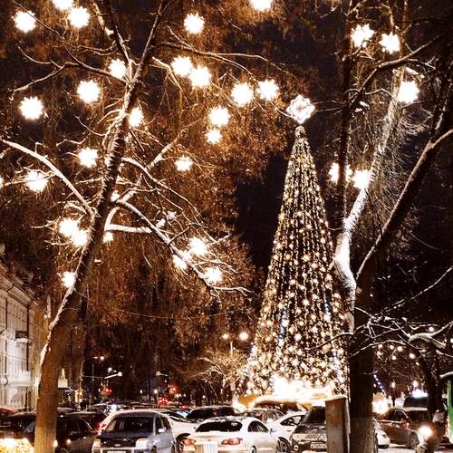 Photo #13049346