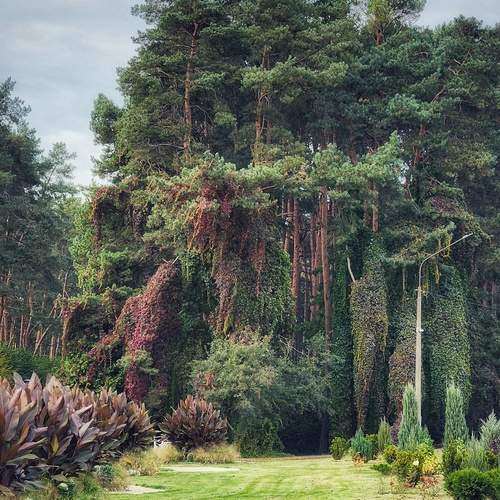 Photo #13049359