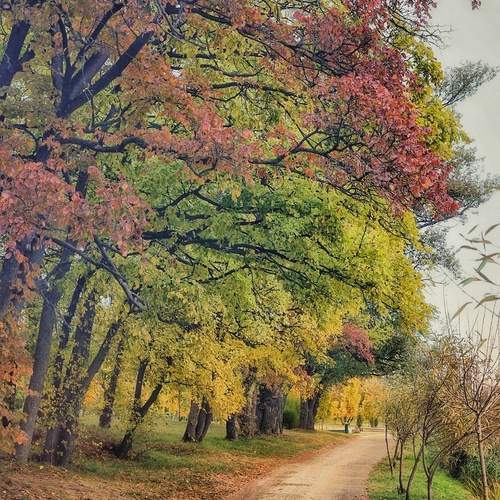 Photo #13049360
