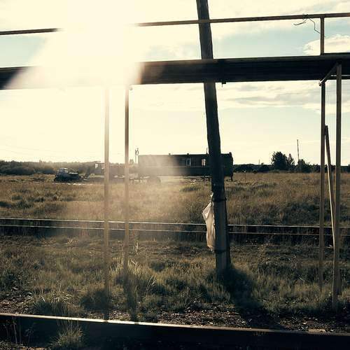Photo #13049638