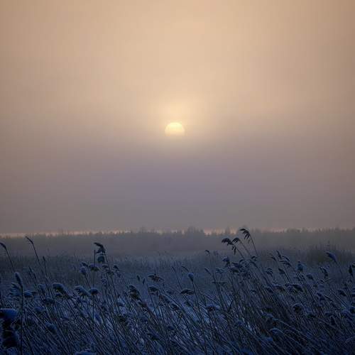 Photo #13049663
