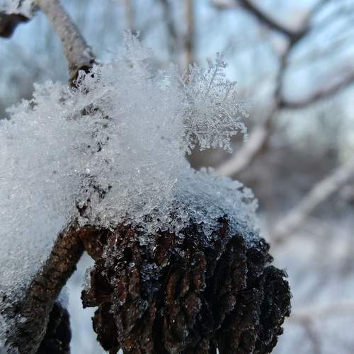 Photo #13049664