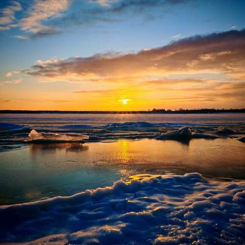 Photo #13049665