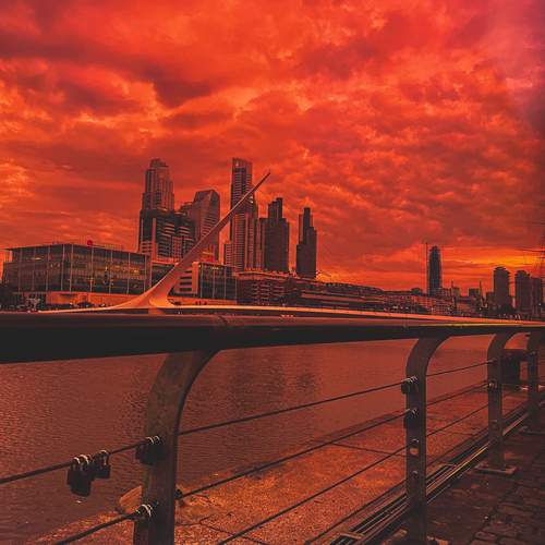 Photo #13049706