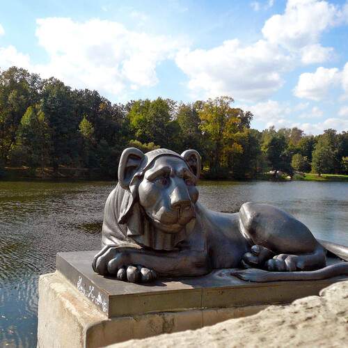 Photo #13049720