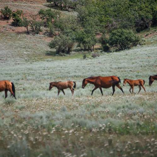 Фотография #13049915