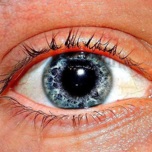 Photo #1307670
