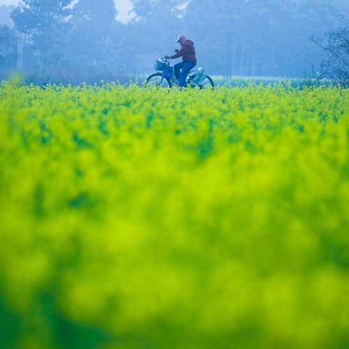 Photo #13050060