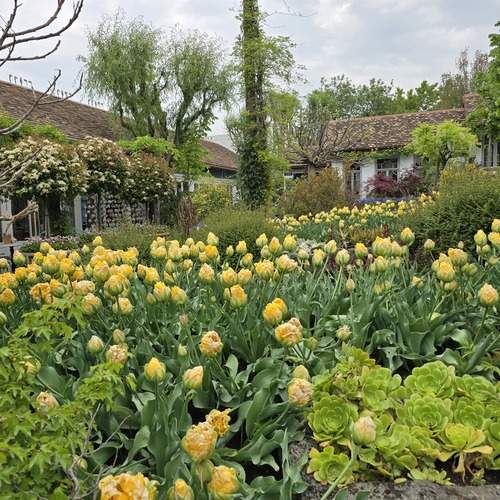 Photo #13050361