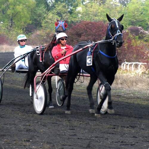 Photo #13050444