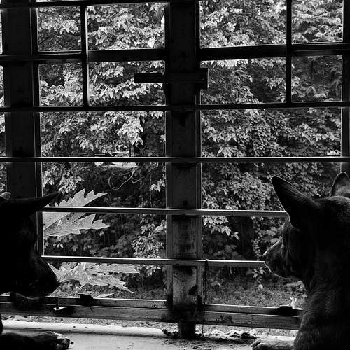Photo #13050457