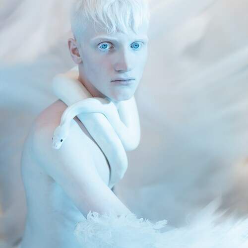 Photo #13050469