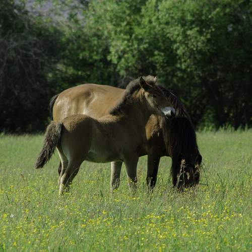 Photo #13050583