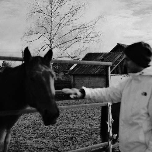 Photo #13051056