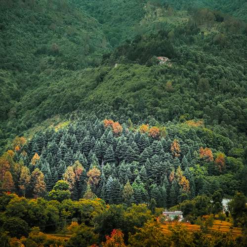 Photo #13051103