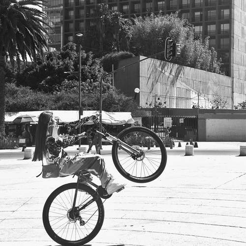 Photo #13051149