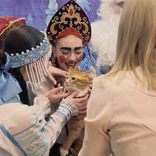 Photo #13051207