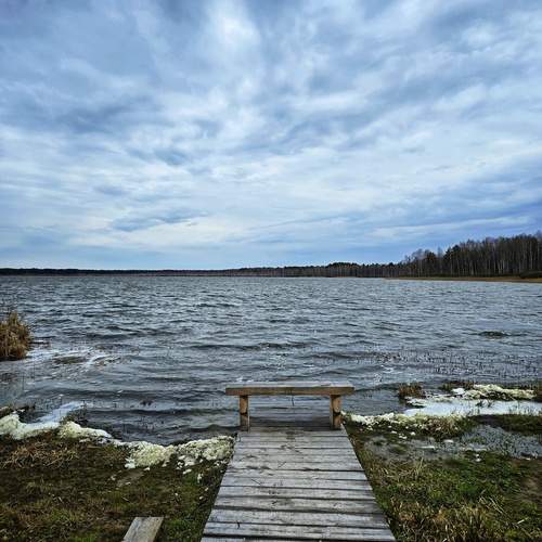 Photo #13051418