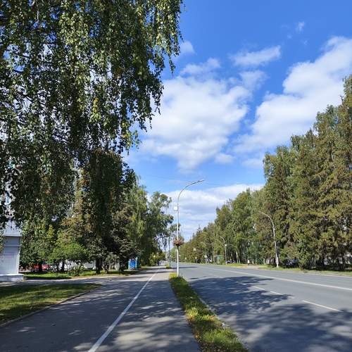 Photo #13051439