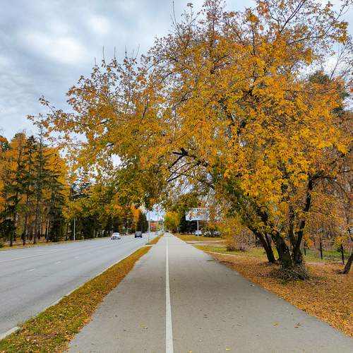 Photo #13051440