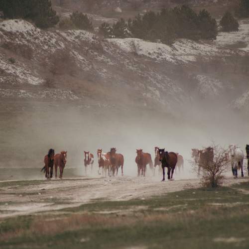 Фотография #13051474